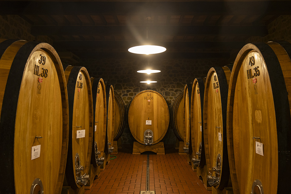 Poggio di Sotto presenta il Brunello di Montalcino 2019