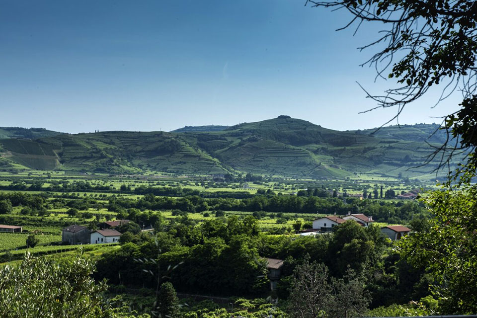 Soave e Lessini Durello