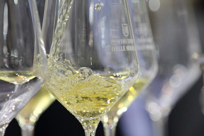 DOP wine from the brands DOP wine from the brands
