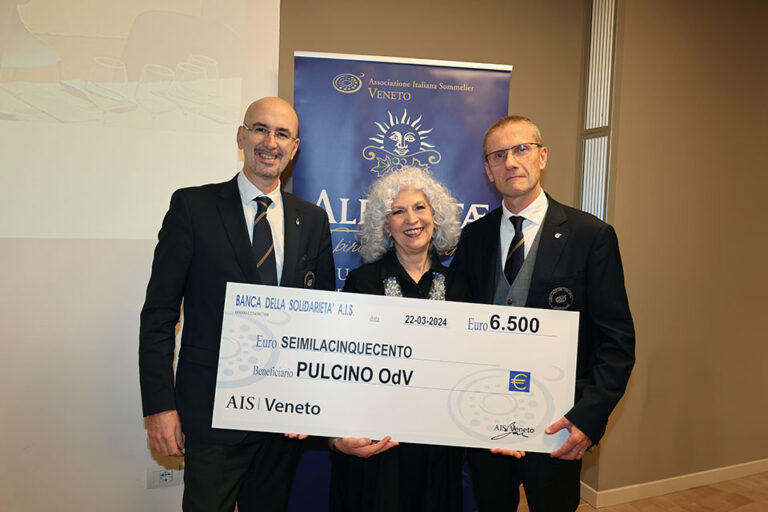 Alba Vitae 2023 di AIS Veneto raccolti 6500 euro