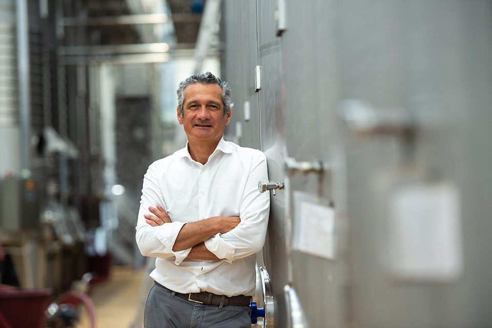 Michele Bernetti presidente Imt