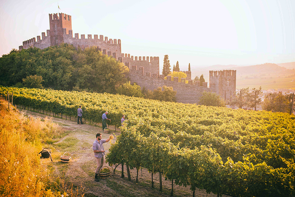 Soave e Lessini Durello