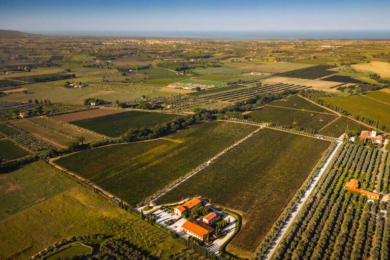 Patrimonio viticolo Campo alla Sughera