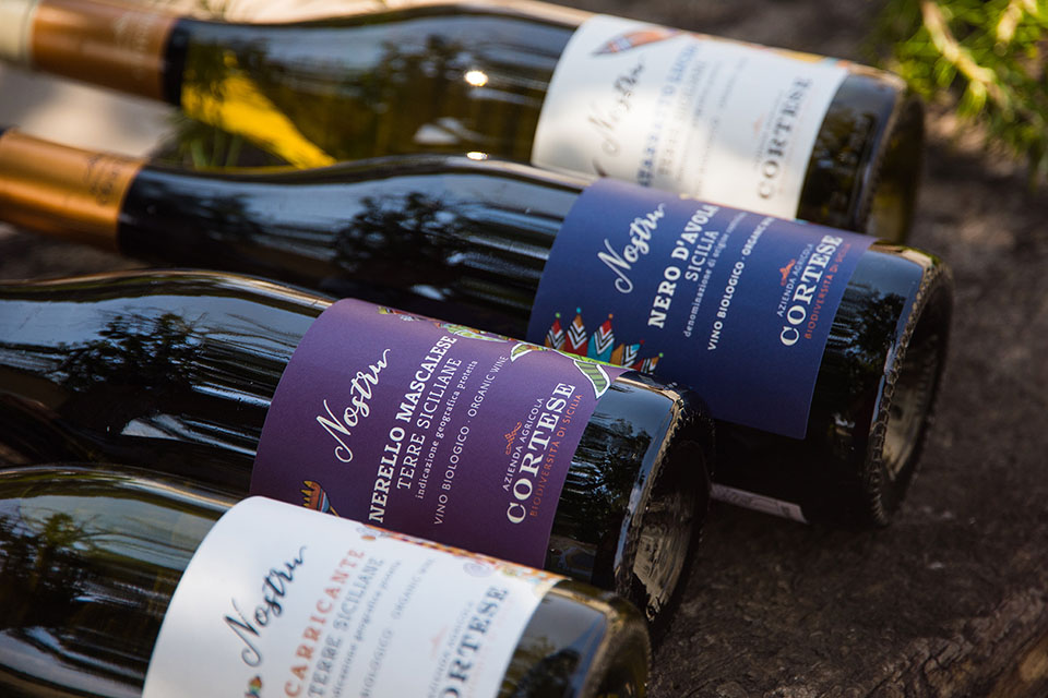 Linea Vini Nostru Azienda Agricola Cortese