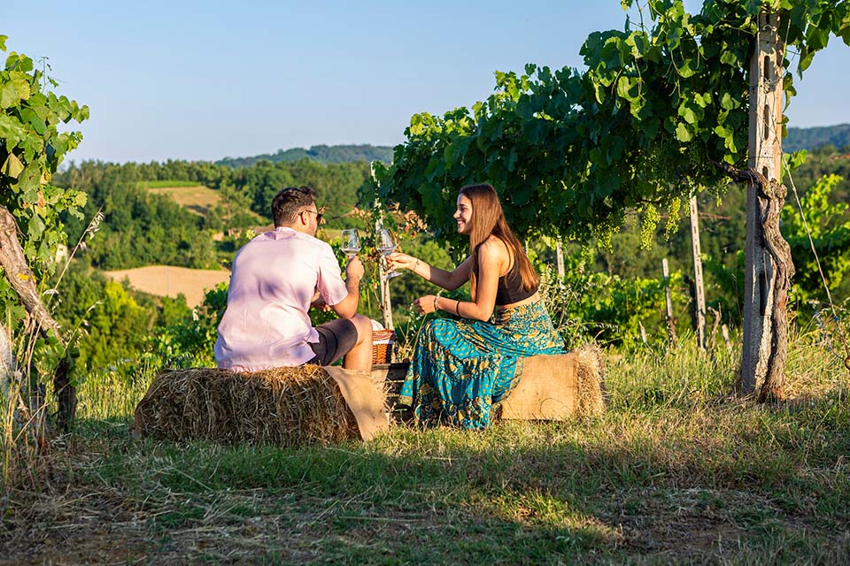 Pic-nic in vigna La Ciocca
