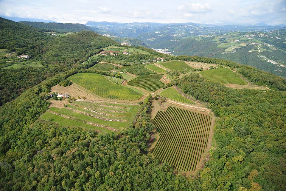 vigneto case vecie