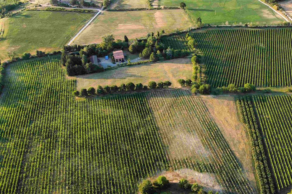 Azienda Agricola Rontana