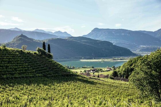 Enoturismo in Alto Adige:  cosa fare d’estate tra cantine, natura e sport