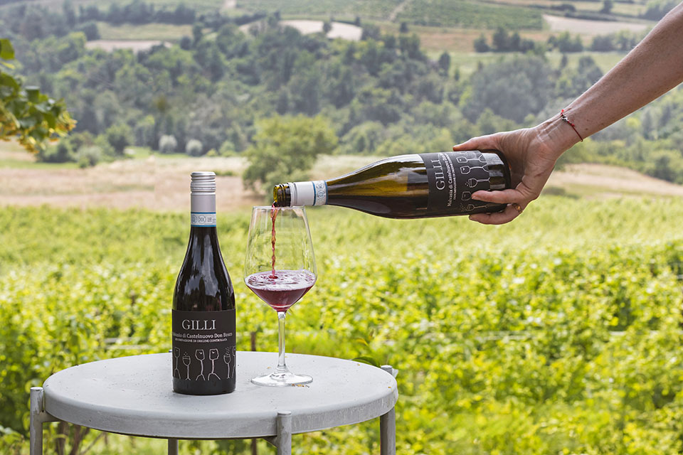 Malvasia di Castelnuovo Don Bosco DOC Cascina Gilli