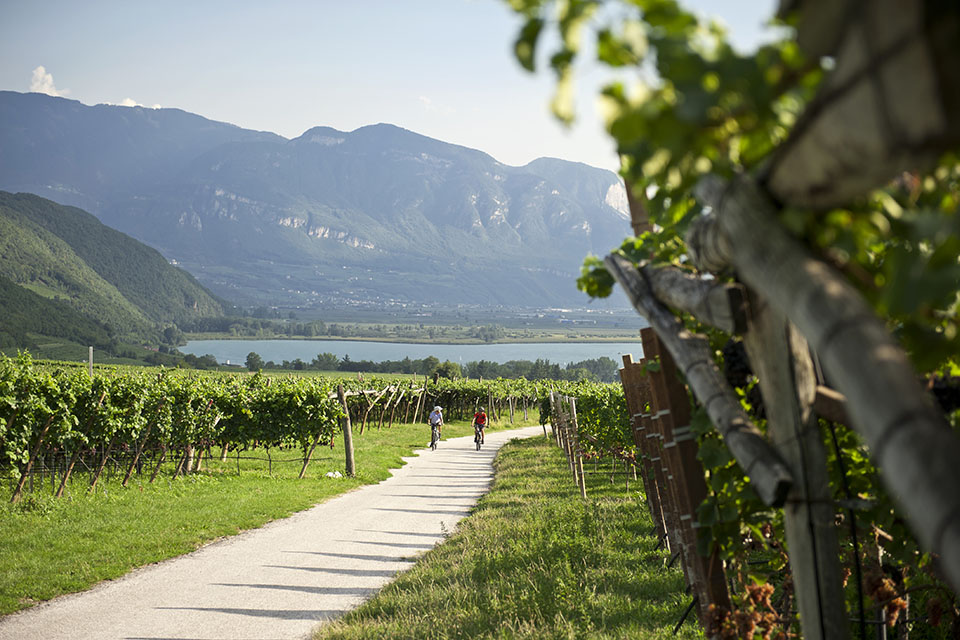 Wine&Bike Alto Adige Collection