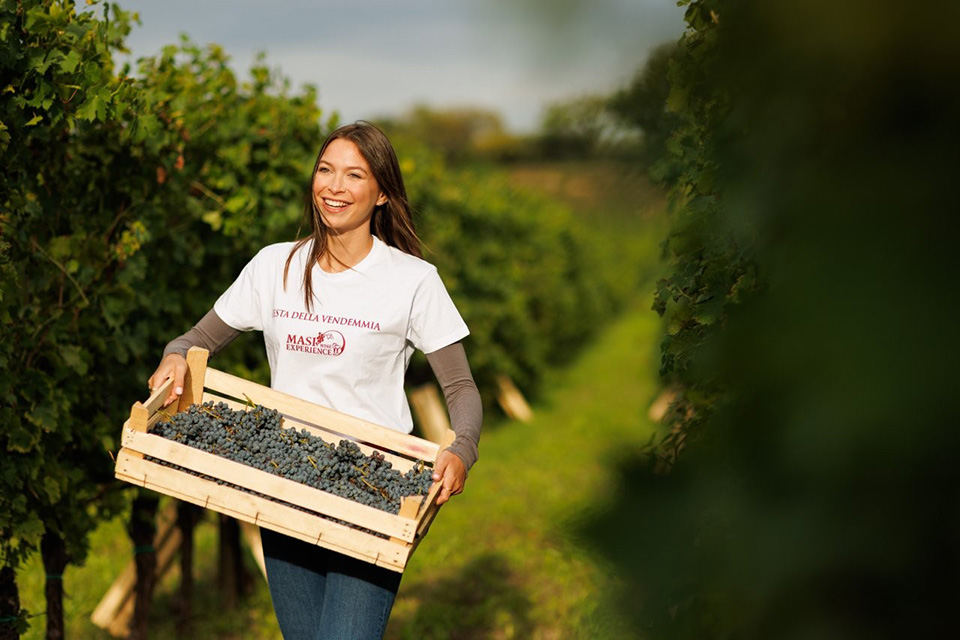 Festa della Vendemmia 2025