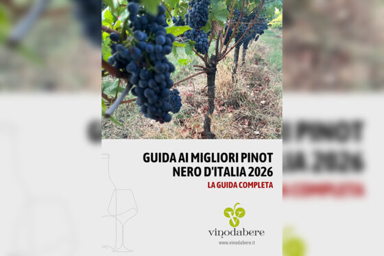 Online la Guida ai migliori Pinot Nero d’Italia 2026 di Vinodabere.it