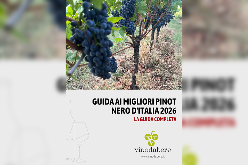 Guida ai migliori Pinot Nero d’Italia 2026