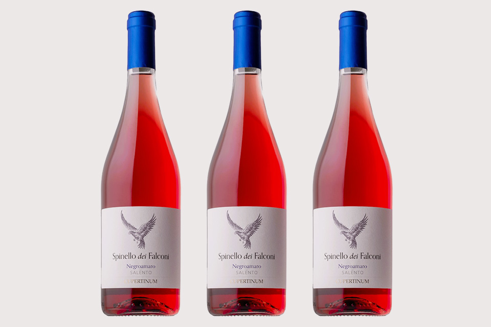 Lo Spinello dei Falconi è TopWine SlowWine 2026