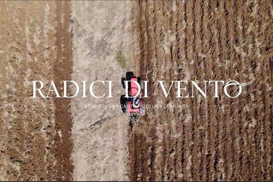 Cantine Settesoli presenta il podcast Radici di vento Cantine Settesoli presenta il podcast Radici di vento