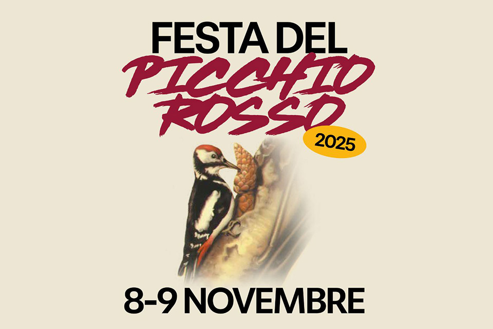 Festa del Picchio Rosso 2025