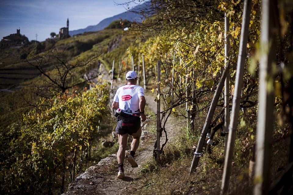 Valtellina Wine Trail