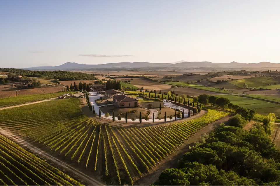 cantina avignonesi cantina avignonesi