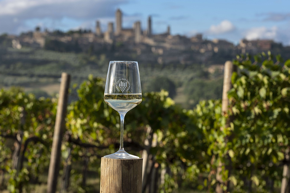 Vernaccia di San Gimignano