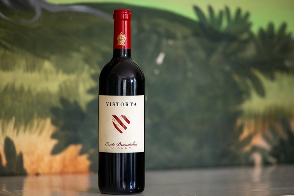 Merlot Vistorta