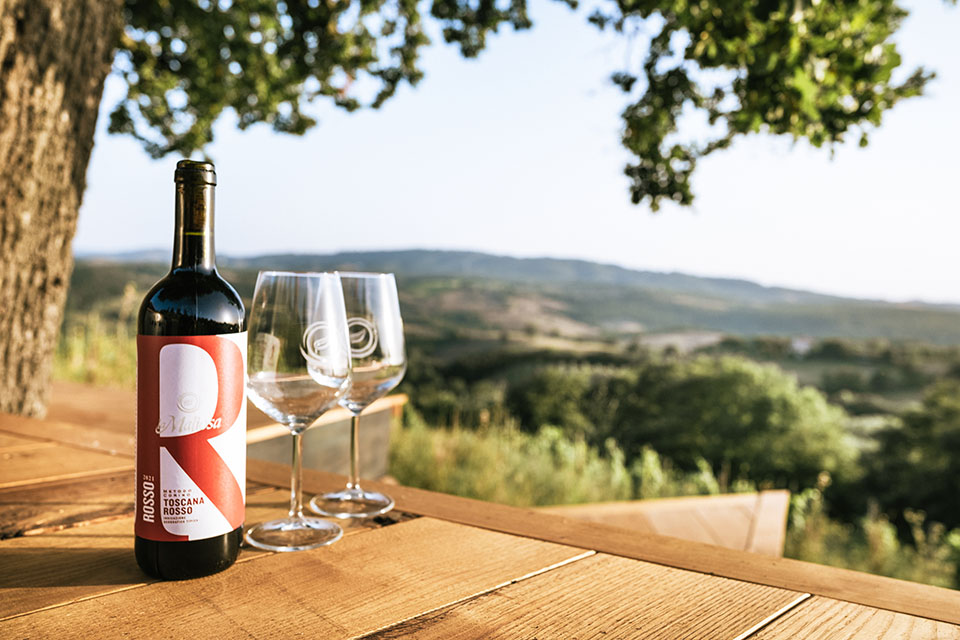 Vini Fattoria La Maliosa