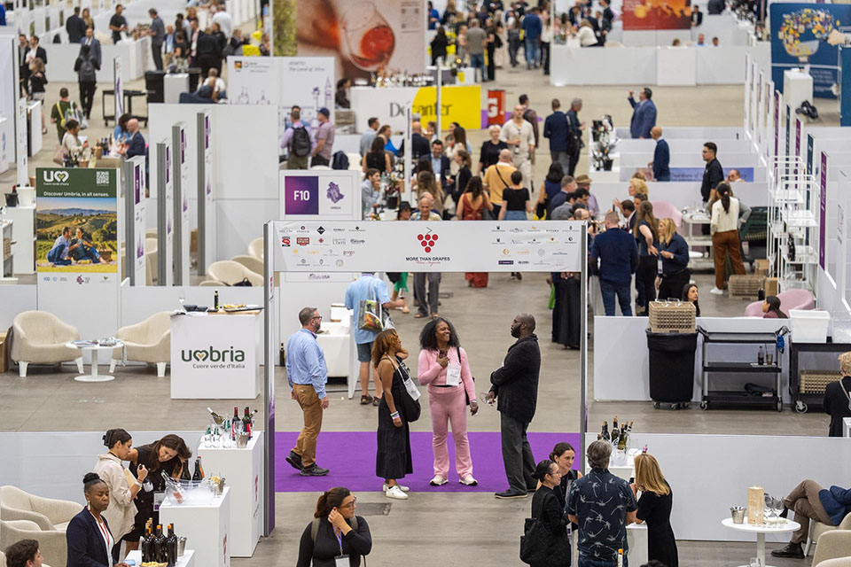 Wines Experience piattaforma internazionale di United Experience e BolognaFiere