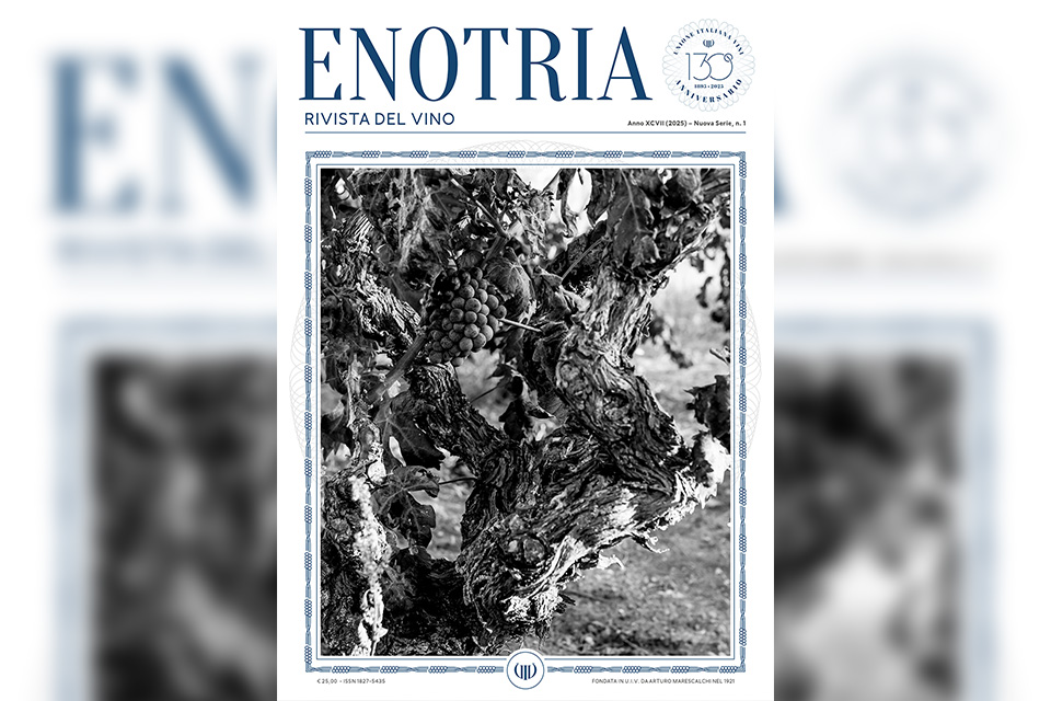 enotria rivista del vino nuova serie