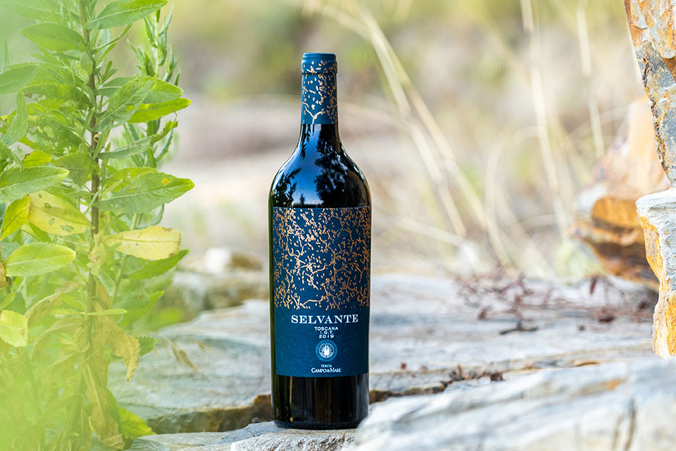 Selvante Toscana IGT Cabernet Franc 2020