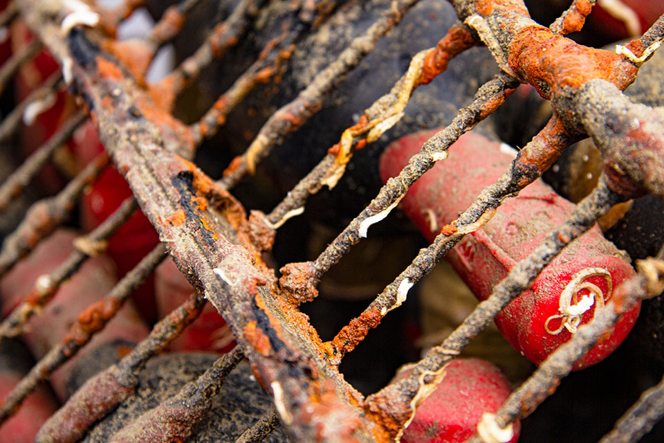 vini tenuta del paguro