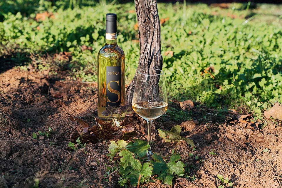 Spèra and Bèru di Siddùra are among the best Italian white wines