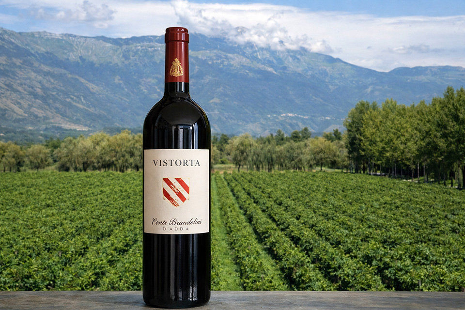 merlot vistorta