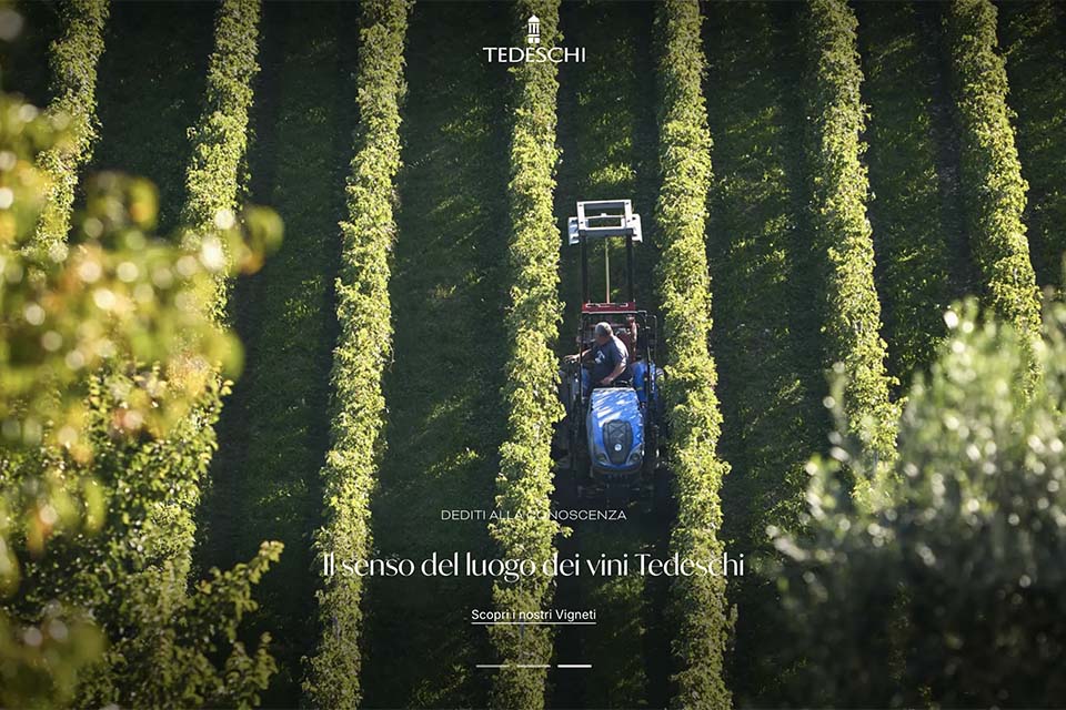 Tedeschi talks about himself through the new website