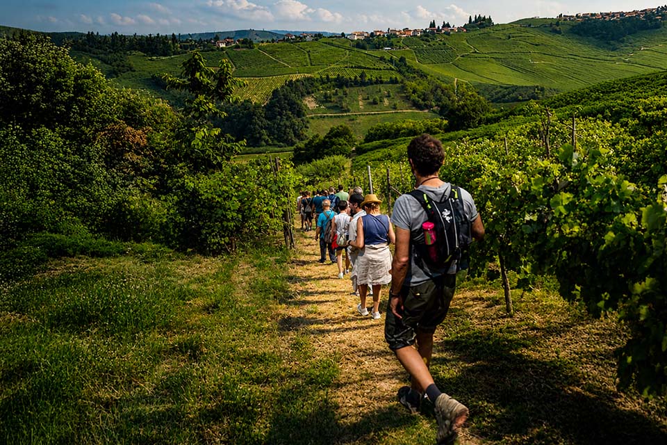Scollinando tra le vigne del Buttafuoco Storico