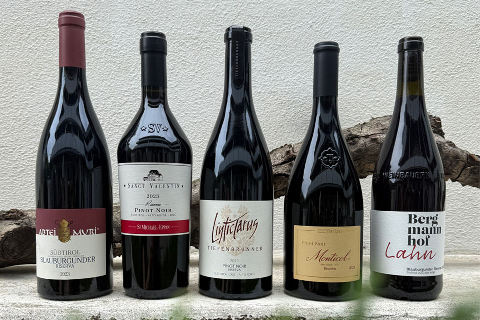 migliori pinot nero italiani