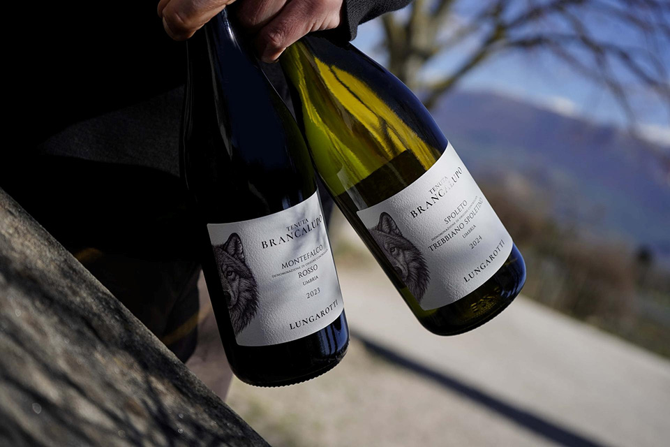 Lungarotti opens the doors of Tenuta Brancalupo in Montefalco