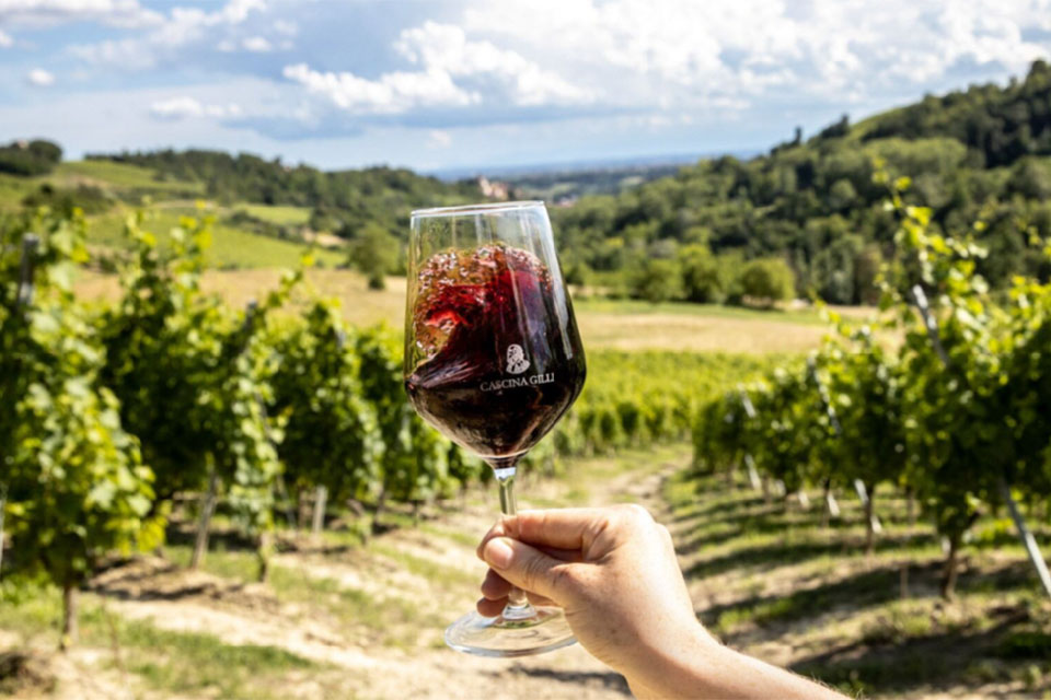 vino cascina gilli