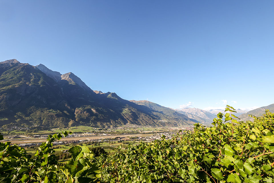 Grosjean Vins opens the doors of its estate to experience Aosta Valley viticulture between wine, music and territory Grosjean Vins opens the doors of its estate to experience Aosta Valley viticulture between wine, music and territory
