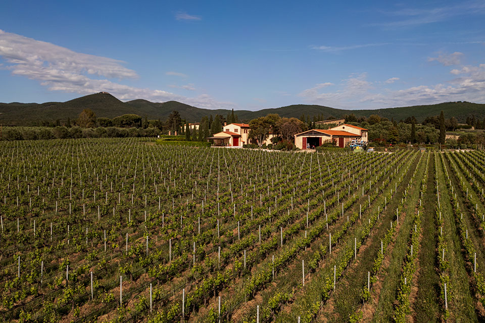 campo alla sughera