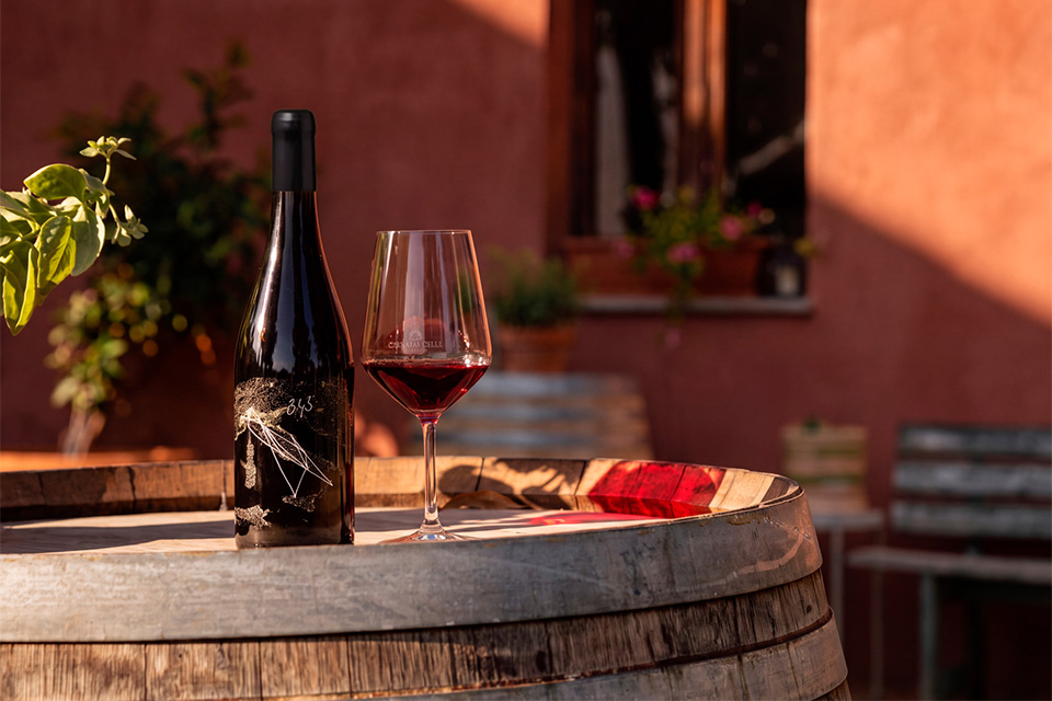 Cascina Gilli presenta la Freisa 343