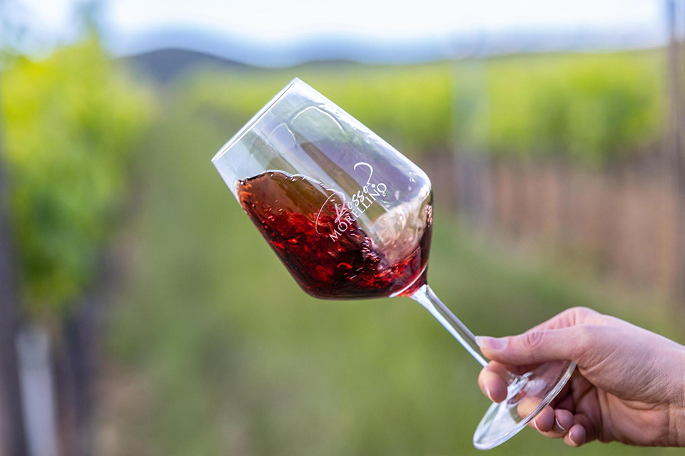 Vino Morellino di Scansano