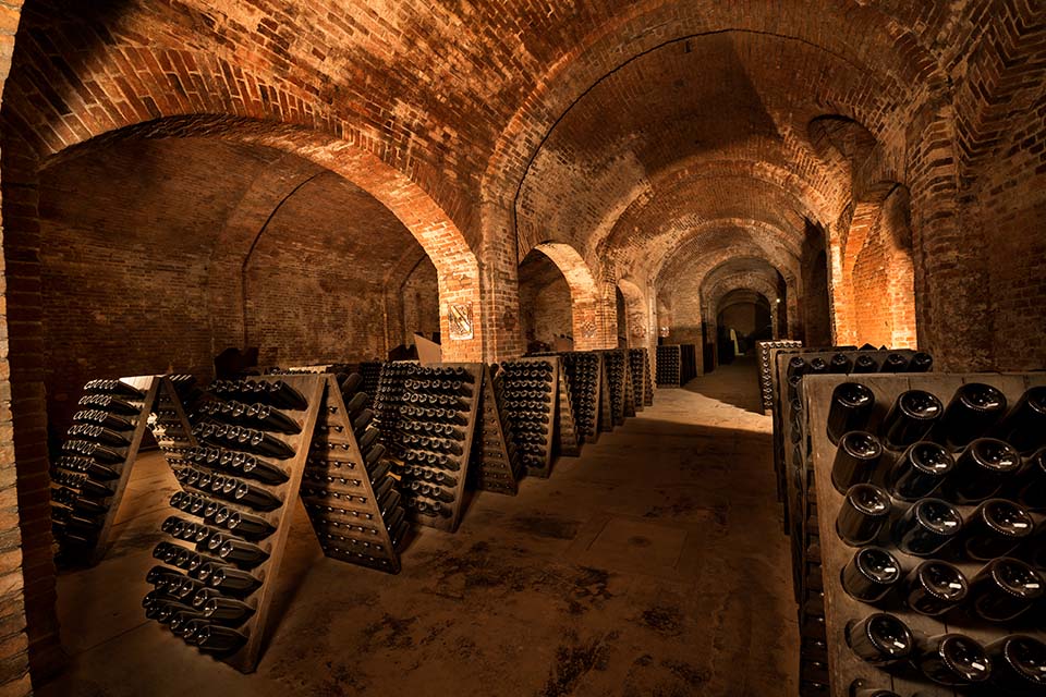 Visite guidate alle Cantine Storiche di Bosca